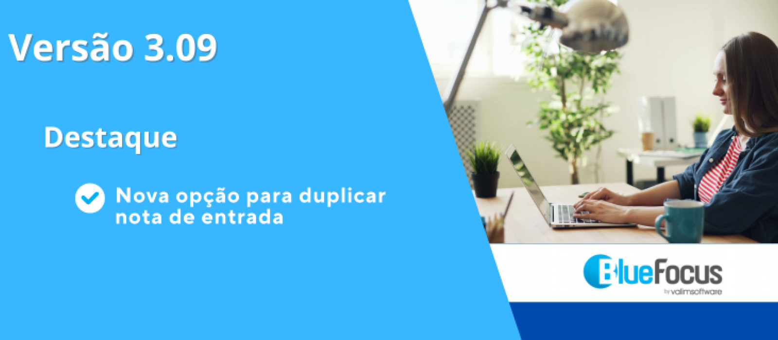 BlueFocus Software, sistema de gestao de empresas na nuvem
